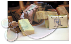 Local soap maker illustration
